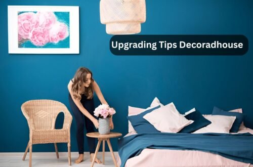 Home Upgrading Advice Mintpalment